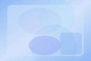 VPN 프라이버시 보호